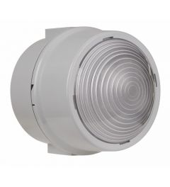 LED permanent BWM 12-24VDC RD/YE/GN