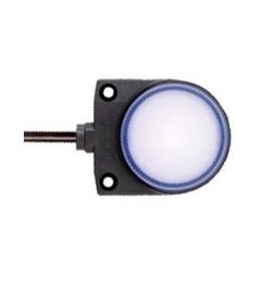 LH1D spider led dome 37mm koelwit 3m kabel